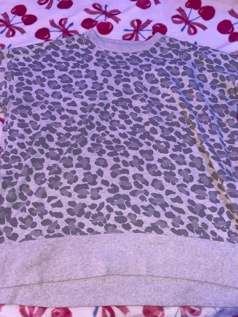 aerie Lavender Gray Leopard Print Crewneck Sweatshirt